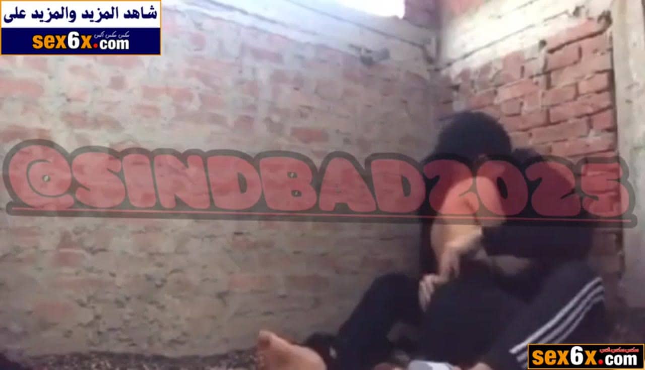 عنتيل السطح المصري والشرموطة - الجزء الثاني - سكس مصري فيديو