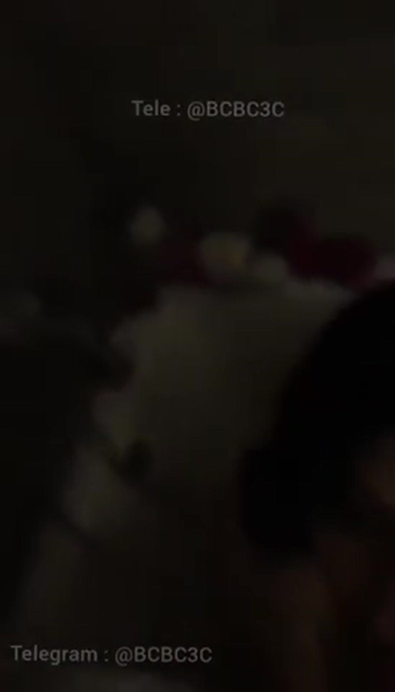 سكس هيفاء وهبي فيديو مص