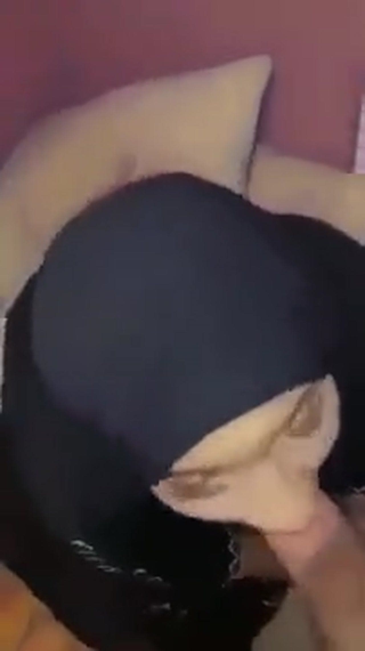 أمراة محجبة تمص زب كبير