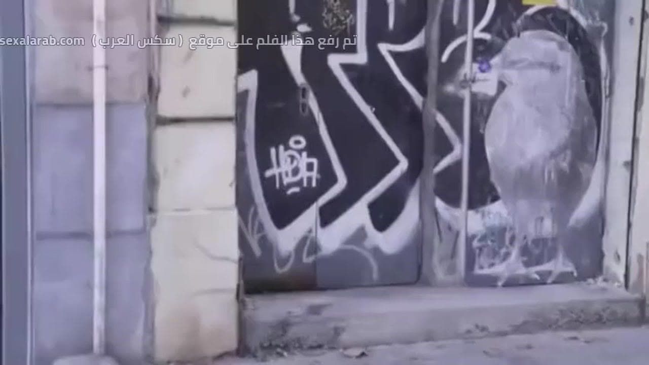 انطونيو سليمان يفشخ الشرموطه الي دور رجال بالشارع